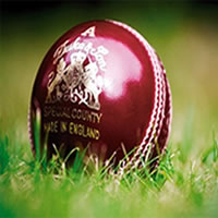 Cricket ball